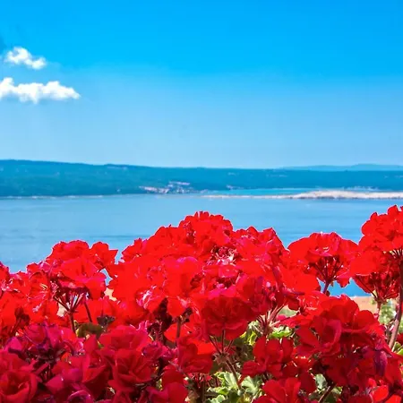 Πανσιόν Djurdjica 3*