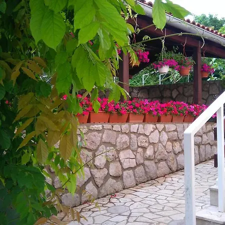Djurdjica Dramalj